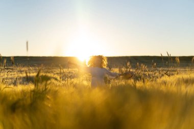 Sabahın erken saatlerinde, buğday tarlasında beyaz elbiseli, uzun sarı saçlı genç ve güzel bir kadın. Yaz, hayalperestlerin, uçan saçların, güneşin altında tarlada koşan bir kadının zamanıdır. seyahat