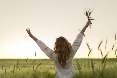Buğday tarlasında beyaz elbiseli sarışın güzel bir kadın. Güneşte uçan saçlar, yaz. Hayalperestlerin zamanı, altın gün batımı.
