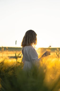 Sabahın erken saatlerinde, buğday tarlasında beyaz elbiseli, uzun sarı saçlı genç ve güzel bir kadın. Yaz, hayalperestlerin, uçan saçların, güneşin altında tarlada koşan bir kadının zamanıdır. seyahat