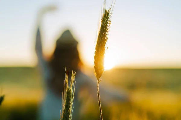 Силуэт Женщины Пшеничном Поле Летающие Волосы Солнце Летом Время Мечтателей — стоковое фото