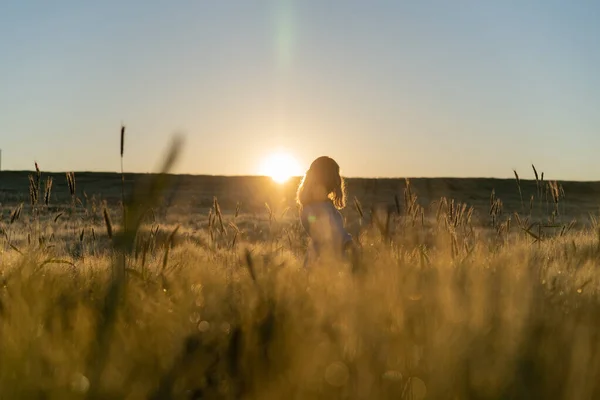 Sabahın Erken Saatlerinde Buğday Tarlasında Beyaz Elbiseli Uzun Sarı Saçlı — Stok fotoğraf