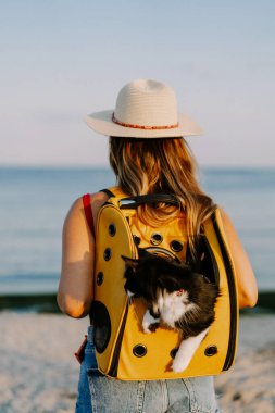 Deniz kıyısında sırt çantasında kedisi olan genç bir kadın. Bir evcil hayvanla seyahat konsepti.