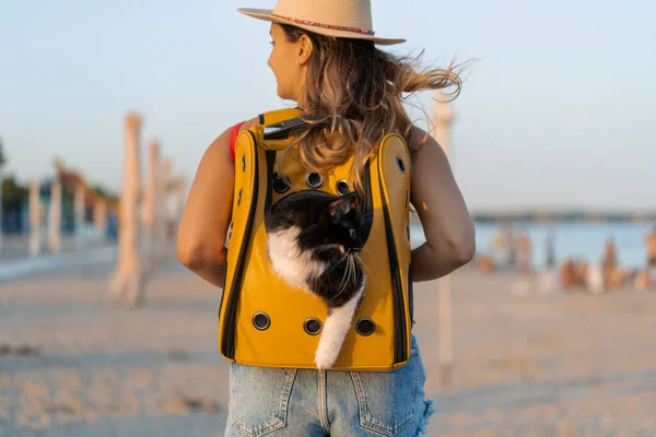 Jovem Com Gato Uma Mochila Praia Conceito Viagem Com Animal — Fotografia de Stock