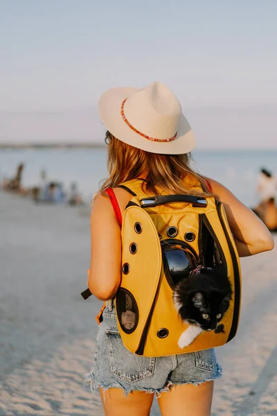 一个年轻的女人 背着一只猫在海滨 带宠物的旅行概念 — 图库照片