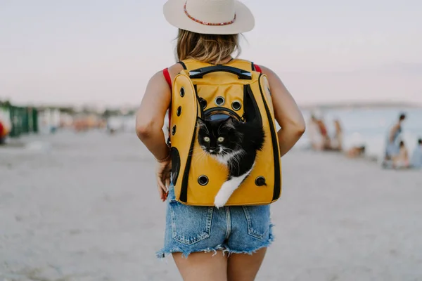 Jovem Com Gato Uma Mochila Praia Conceito Viagem Com Animal — Fotografia de Stock