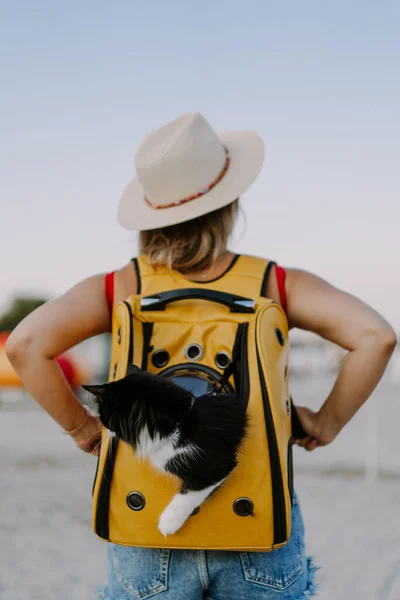 Jovem Com Gato Uma Mochila Praia Conceito Viagem Com Animal — Fotografia de Stock