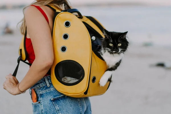 Junge Frau Mit Katze Rucksack Strand Reisekonzept Mit Haustier — Stockfoto
