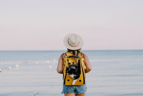 Ung Kvinne Med Katt Ryggsekk Stranden Reisebegrep Med Kjæledyr – stockfoto