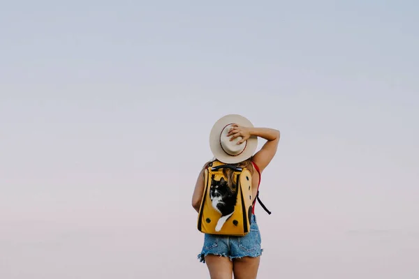 Jovem Com Gato Uma Mochila Praia Conceito Viagem Com Animal — Fotografia de Stock