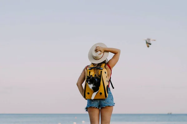 Jovem Com Gato Uma Mochila Praia Conceito Viagem Com Animal — Fotografia de Stock