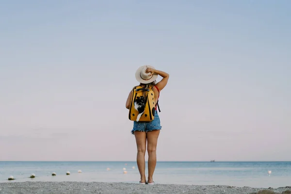 Giovane Donna Con Gatto Uno Zaino Riva Mare Concetto Viaggio — Foto Stock