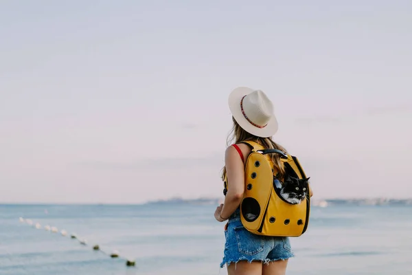 Ung Kvinne Med Katt Ryggsekk Stranden Reisebegrep Med Kjæledyr – stockfoto