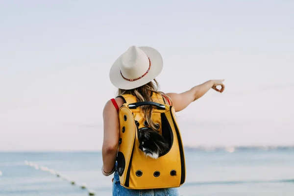 young woman with a cat in a backpack on the seashore. Travel concept with a pet.