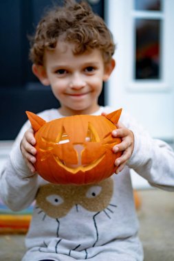 Cadılar bayramı için balkabağı Jack 'li küçük çocuk. Bir çocuk, kedi şeklinde bir balkabağından lamba oyuyor..