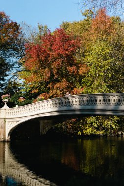 Sonbaharda New York Manhattan Central Park, göl üzerinde köprü. Genç bir kadın New York 'ta bir sonbahar parkında yürüyor..