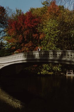 Sonbaharda New York Manhattan Central Park, göl üzerinde köprü. Genç bir kadın New York 'ta bir sonbahar parkında yürüyor..