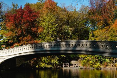 Sonbaharda New York Manhattan Central Park, göl üzerinde köprü. Genç bir kadın New York 'ta bir sonbahar parkında yürüyor..