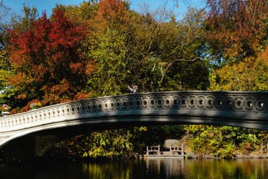Sonbaharda New York Manhattan Central Park, göl üzerinde köprü. Genç bir kadın New York 'ta bir sonbahar parkında yürüyor..