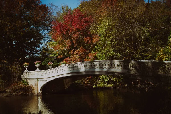 New York Manhattan Central Park Hösten Bro Över Sjön — Stockfoto