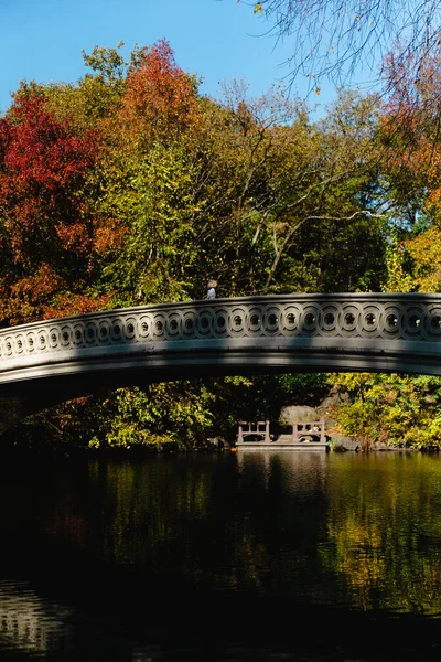 New York Manhattan Central Park Otoño Puente Sobre Lago Mujer — Foto de Stock