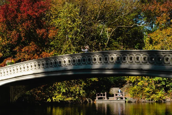 New York Manhattan Central Park Autumn Bridge Lake Young Woman — Stock Photo, Image