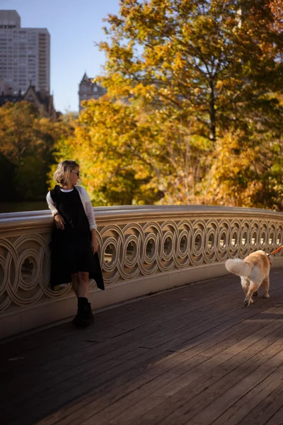 New York Manhattan Central Park Herfst Brug Het Meer Jonge — Stockfoto
