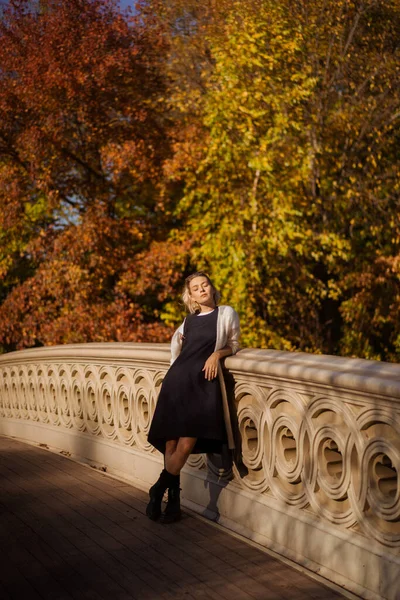 New York Manhattan Central Park Outono Ponte Sobre Lago Jovem — Fotografia de Stock