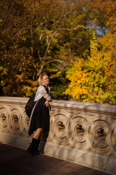 New York Manhattan Central Park Herfst Brug Het Meer Jonge — Stockfoto