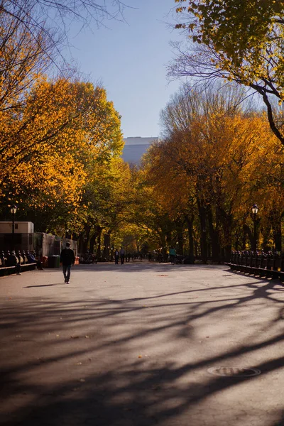 New York City Manhattan Central Park Herfst — Stockfoto
