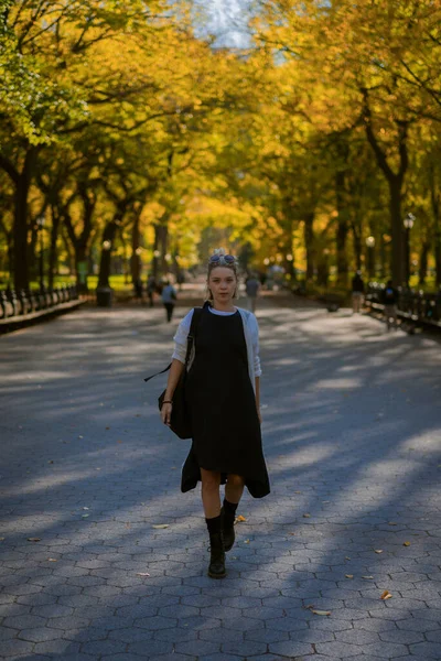 New York Manhattan Central Park Herbst Brücke Über Den See — Stockfoto