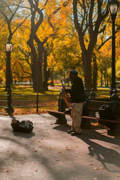 New York City Manhattan Central Park Herfst Een Straatmuzikant Speelt — Stockfoto