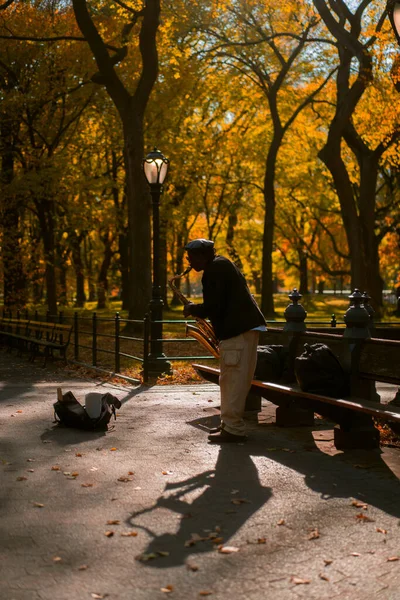 New York City Manhattan Central Park Herfst Een Straatmuzikant Speelt — Stockfoto