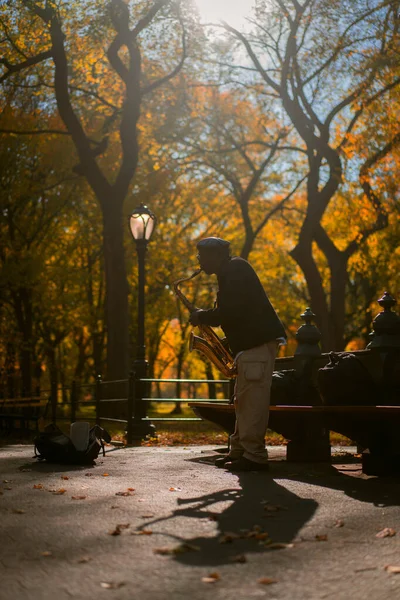 New York City Manhattan Central Park Herfst Een Straatmuzikant Speelt — Stockfoto