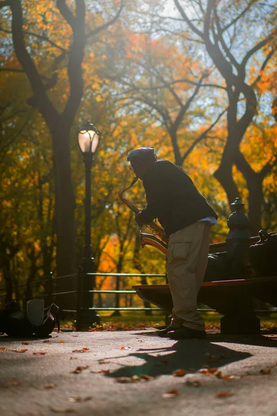 Nueva York Manhattan Central Park Otoño Músico Callejero Toca Saxofón —  Fotos de Stock