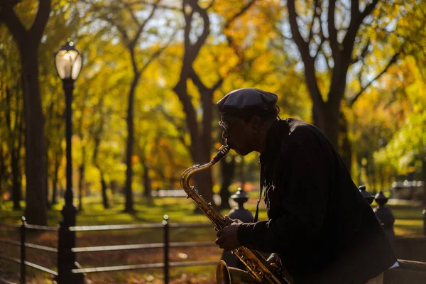 New York City Manhattan Central Park Outono Músico Rua Toca — Fotografia de Stock