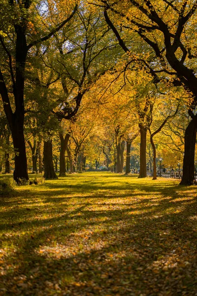 New York City Manhattan Central Park Hösten — Stockfoto