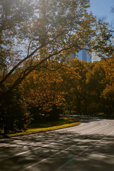 New York City Manhattan Central Park Herfst — Stockfoto