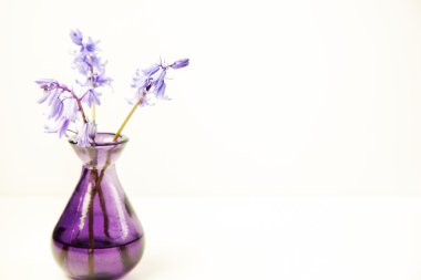 Hisse senedi çiçek resim tarz