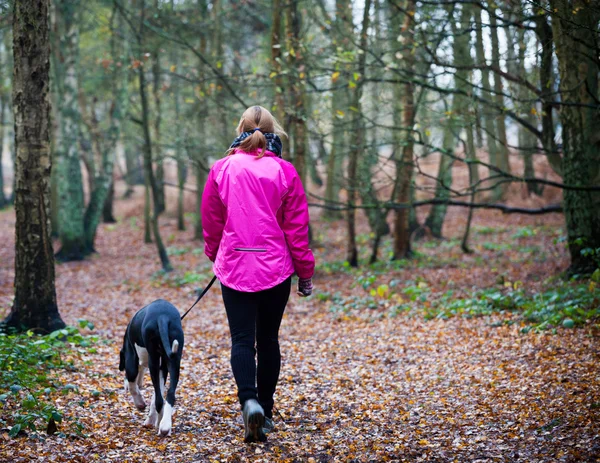 Female walking with Great Dane Puppy — Stock Photo, Image