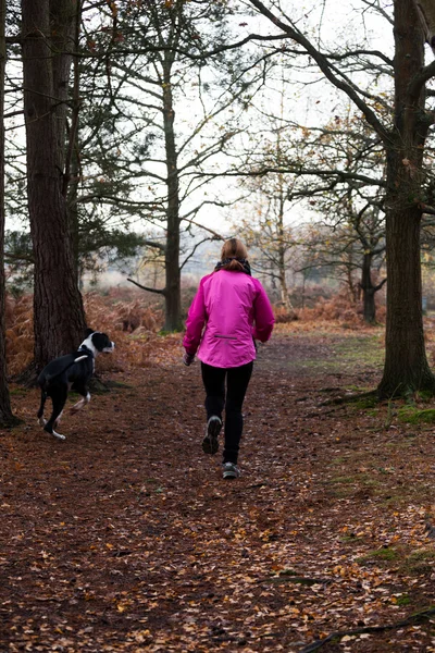 Female Jogging with Great Dane Puppy — Stock Photo, Image