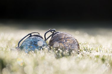 Bahçedeki dışında Noel dekorasyonu