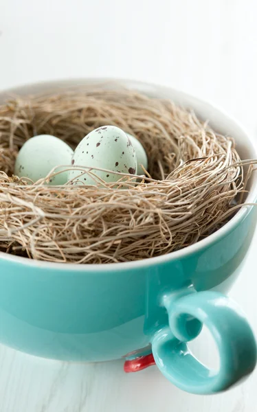 Chocolade-eieren in een nest in een mok — Stockfoto