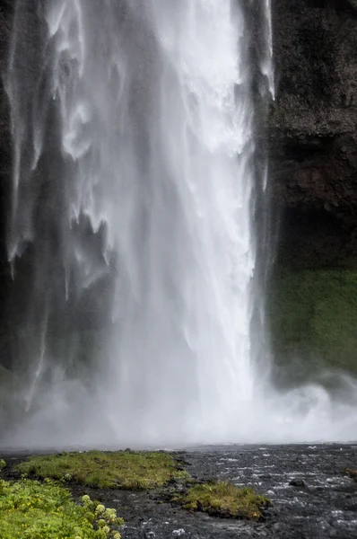 Detalhe das majestosas cachoeiras com rochas e grama — Fotografia de Stock