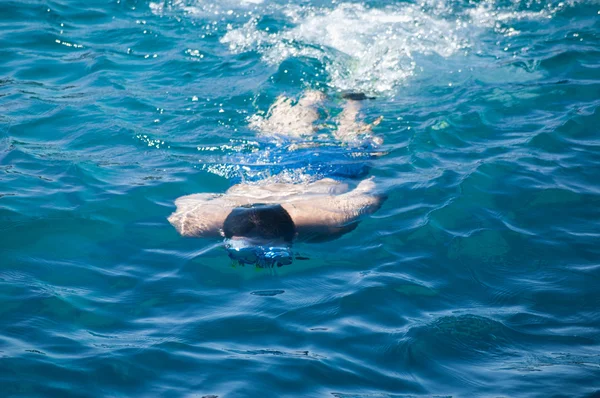 Diving in the sea — Stock Photo, Image