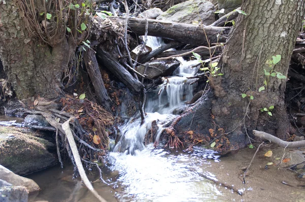 Płynącej rzeki w mały wodospad między skały i drzewa — Zdjęcie stockowe