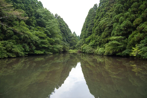 Reflexões florestais no lago — Fotografia de Stock