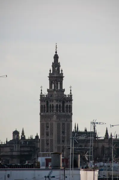 Sevilla вежу Хіральда у фоновому режимі — стокове фото