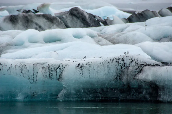 Λιμνοθάλασσα του πάγου — Φωτογραφία Αρχείου