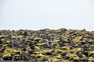 Lav kayaları moss ile