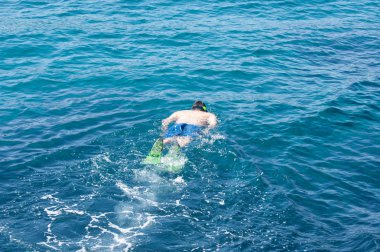 Deniz dibinin arıyorsunuz